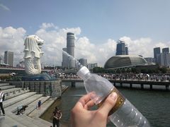 -鱼尾狮公园