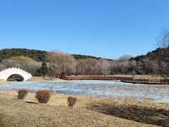 -沈阳森林动物园