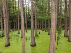 -云龙湖旅游景区