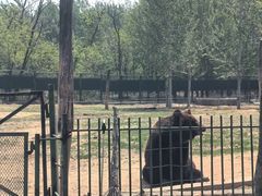 -秦皇岛野生动物园