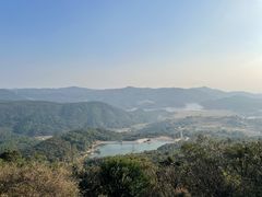 -大姆山草场