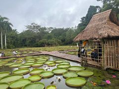 -中国科学院西双版纳热带植物园