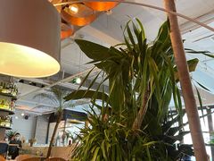 -the rug 飞毯 (朝阳公园店)