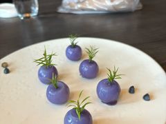 -金鸭季·臻品餐厅(欢乐海岸购物中心店)
