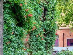 -西安电影制片厂