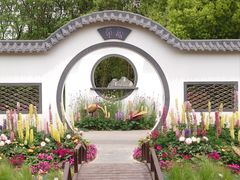 -上海共青森林公园