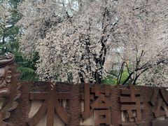-木塔寺遗址生态公园