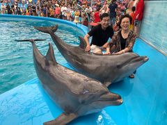 -尼莫海豚馆