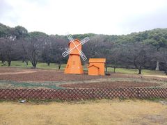 -苏州上方山国家森林公园