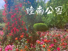 -睦南公园