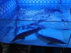 -巴人堂(女儿城店)