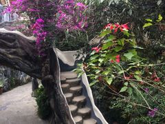 -疯狂屋
