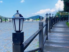 -树山生态村