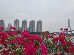-粥旺庄(芳村店)