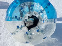 -沈阳奥体冰雪嘉年华