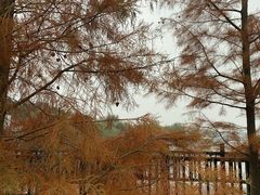 -仙海旅游度假区