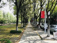 -华东政法大学(松江校区)