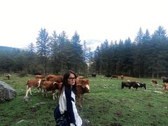 -硗碛藏寨·神木垒景区