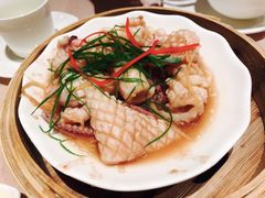虾酱蒸鲜鱿-陶陶居海鲜酒家(新马路店)
