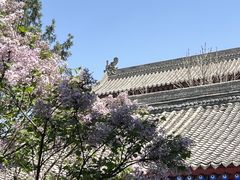 -西安市广仁寺