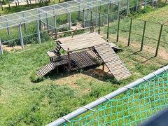 -青藏高原野生动物园