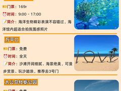 -日照灯塔风景区