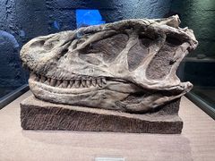 -自贡恐龙博物馆