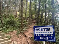 -罗田薄刀峰风景区