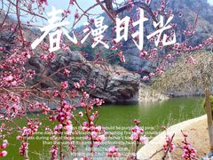 -金龙寺国家森林公园