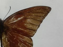 -中国湿地博物馆