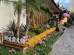 -菌自由丨野生菌火锅特色庭院餐厅(丽江古城店)