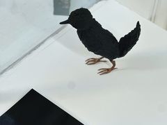 -胶囊画廊