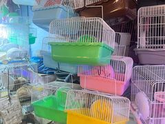 -双季花艺园艺市场(浦东店)