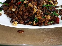 android_upload_pic-纪林菜馆·博山菜老字号(华光路店)