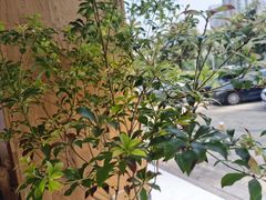 -那家面包房(珠江路店)
