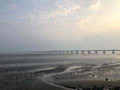 -南汇嘴观海公园