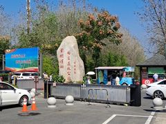 -合肥滨湖国家森林公园