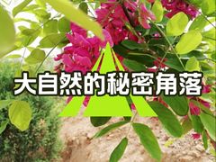 -抱犊寨风景区