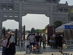 -观潮胜地公园