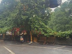 -映象潇湘·小瑶村·民族特色餐厅(植物园店)