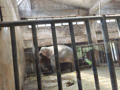 -石家庄市动物园