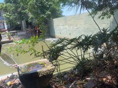 -喜洲吧·江畔老船厂·庭院餐厅(喜临院店)