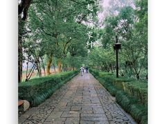 -西溪国家湿地公园