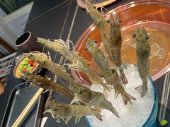 -乔先生涮肉·鲜活牛羊肉火锅(塘沽店)