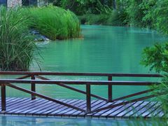 -上海吴淞炮台湾国家湿地公园