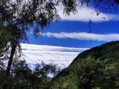 -云岫谷游猎自然风景区