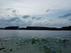 -丁香湖公园