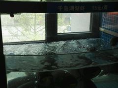 -北大荒淡水鱼馆(秀水广场店)