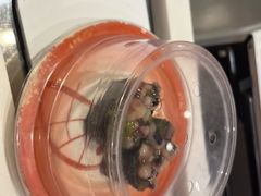 -禾绿回转寿司(苏宁广场店)