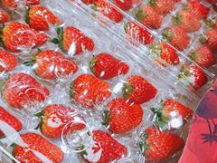 -盒马X会员店(王府井奥莱UP TOWN店)